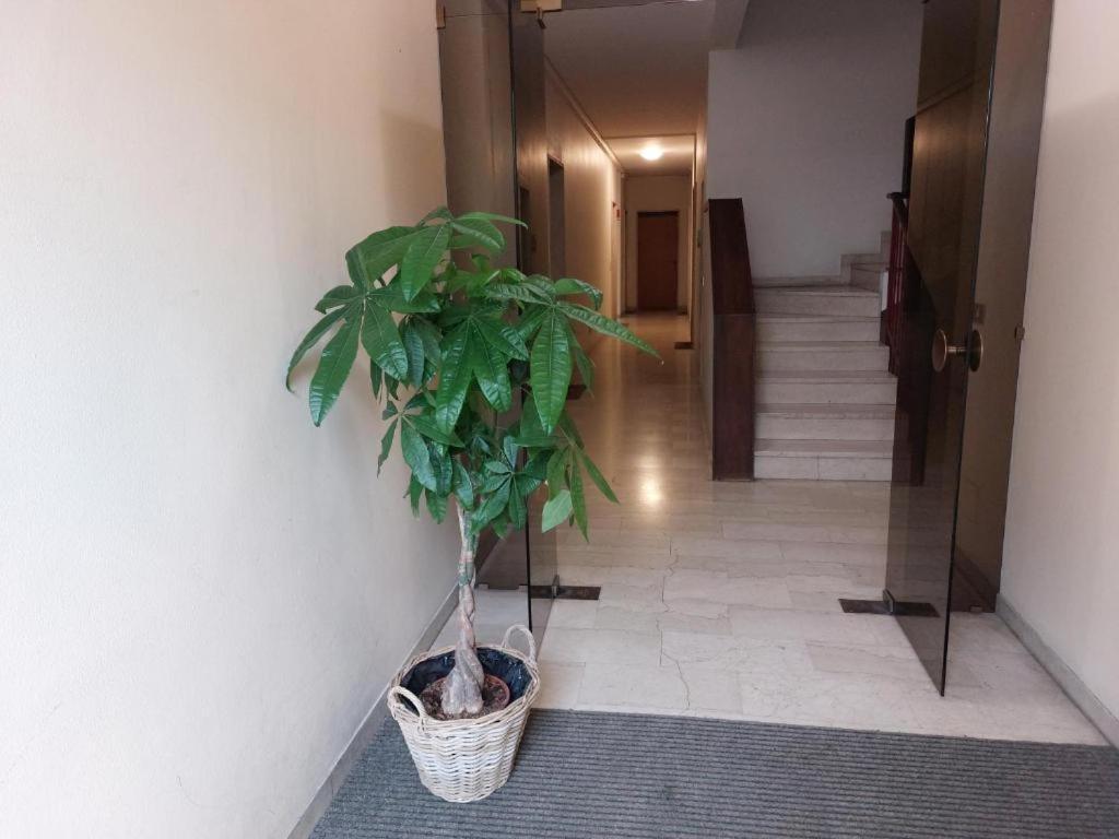 In Blu Santo Ospedale Apartment Padova Exterior photo